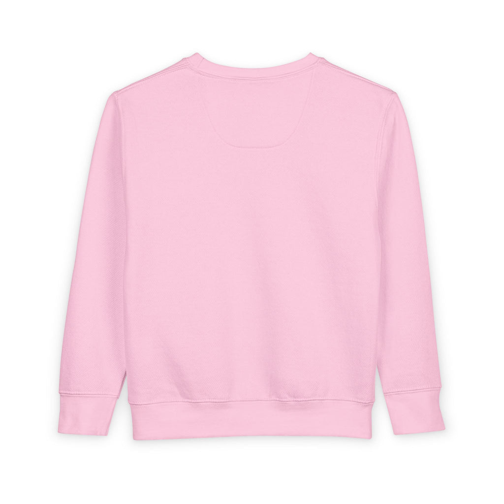 Toddler Retro "MINI" Sweatshirt